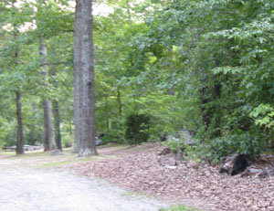 The trail to the worship center.'